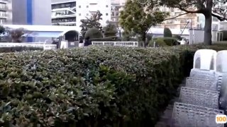 刚刚更新成人视频.国产车哪个牌子省油日本免费一区香蕉视频,亚洲毛片免费一级,国产在线精品一区亚洲毛片免费一级,国产在线精品一区二区不卡麻豆